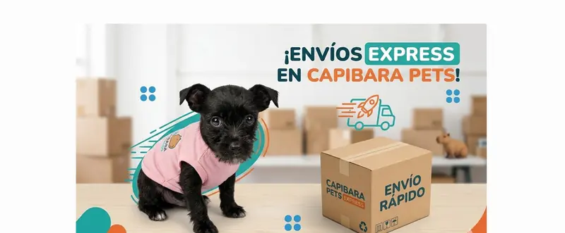 Envío Express en 120 Minutos o Menos