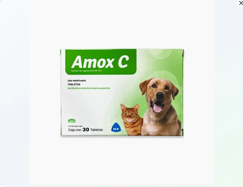 Imagen de Amox C blister x 10 Tab