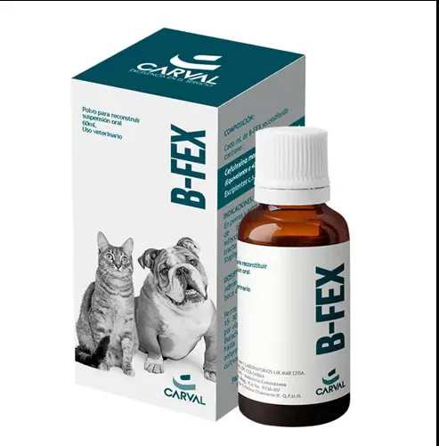Imagen de B-Fex x 60 ml