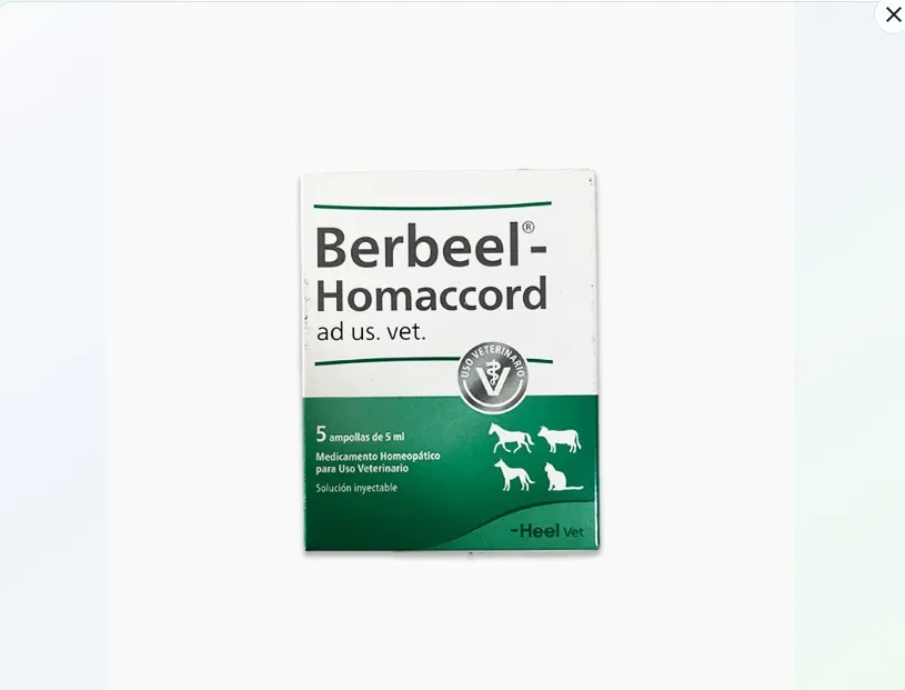 Imagen de Berbeel Ampolla 5 ml (UNIDAD)