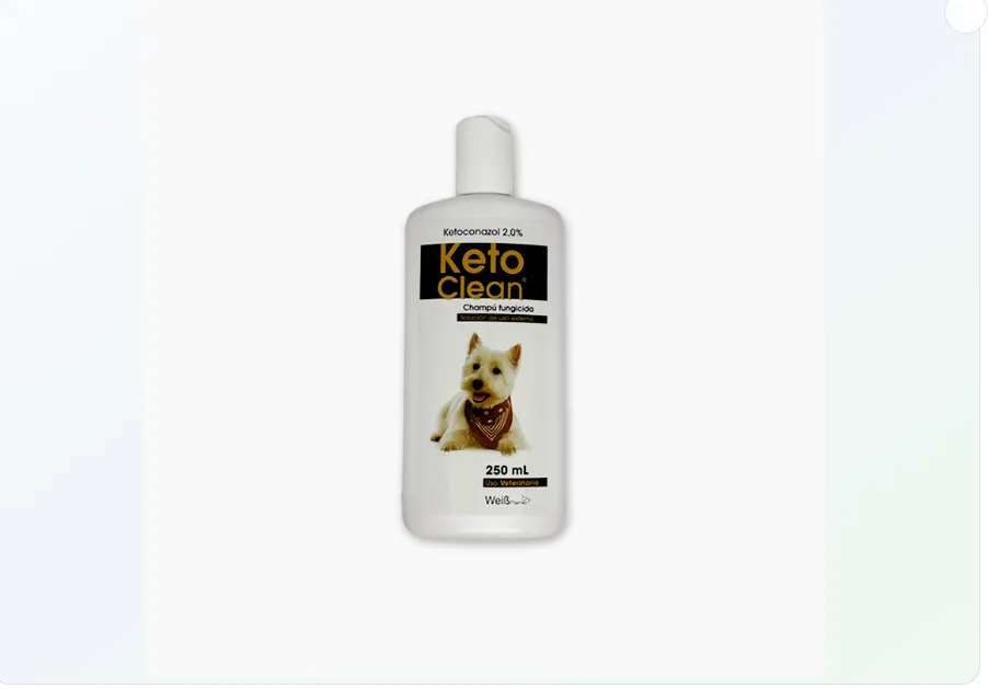 Imagen de Champu Ketoclean * 250 ml