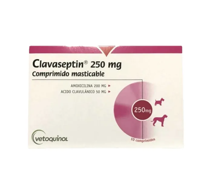 Imagen de Clavaseptin 250 mg * 10 tabletas