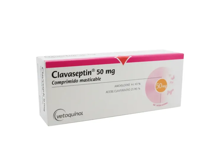 Imagen de Clavaseptin 50 mg * 10 tabletas