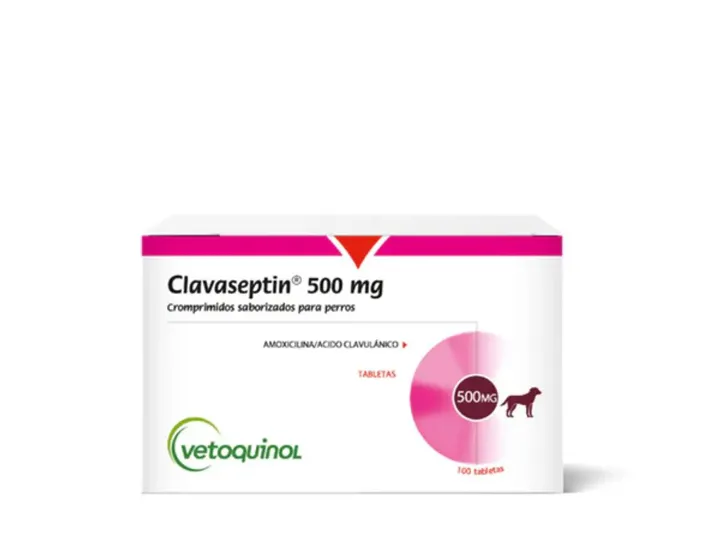 Imagen de Clavaseptin 500 mg * 10 tabletas