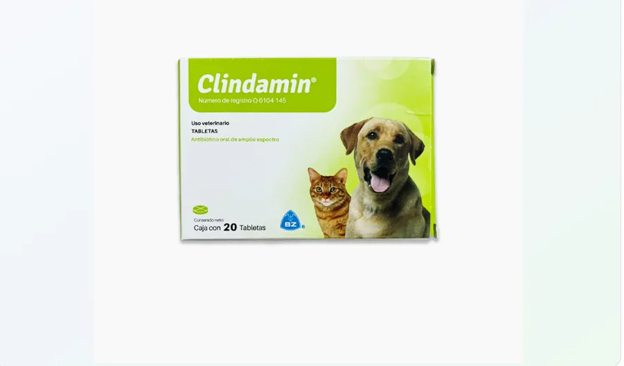 Imagen de Clindamin blister * 10 tabletas