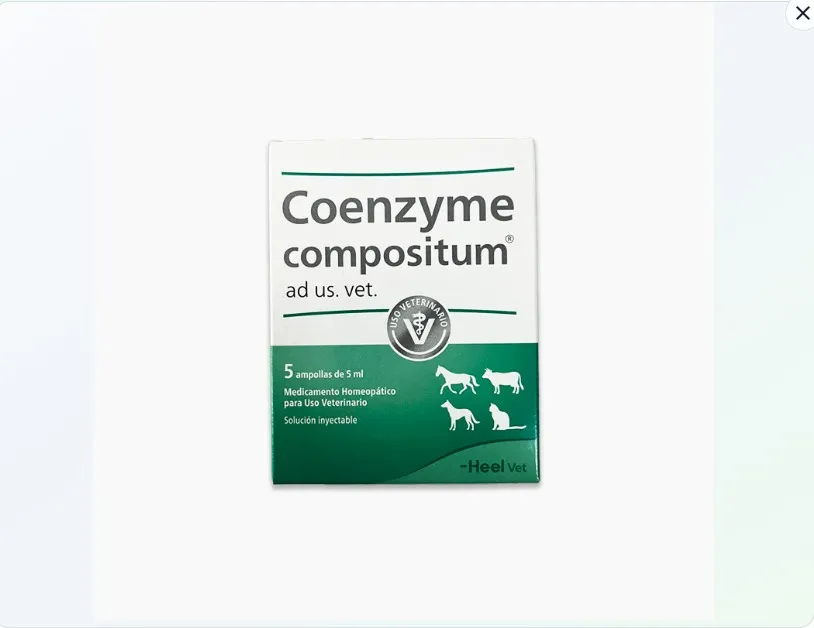 Imagen de Coenzyme-Compositum ampolla 5ml (unidad)
