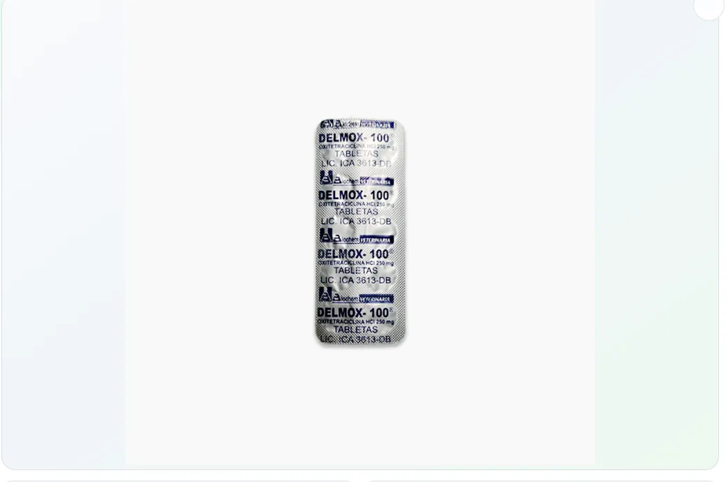 Imagen de DELMOX 100 BLISTER X 10