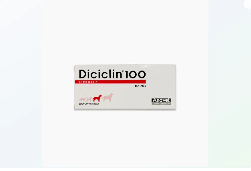 Imagen de DICICLIN 100 MG BLISTER X 10