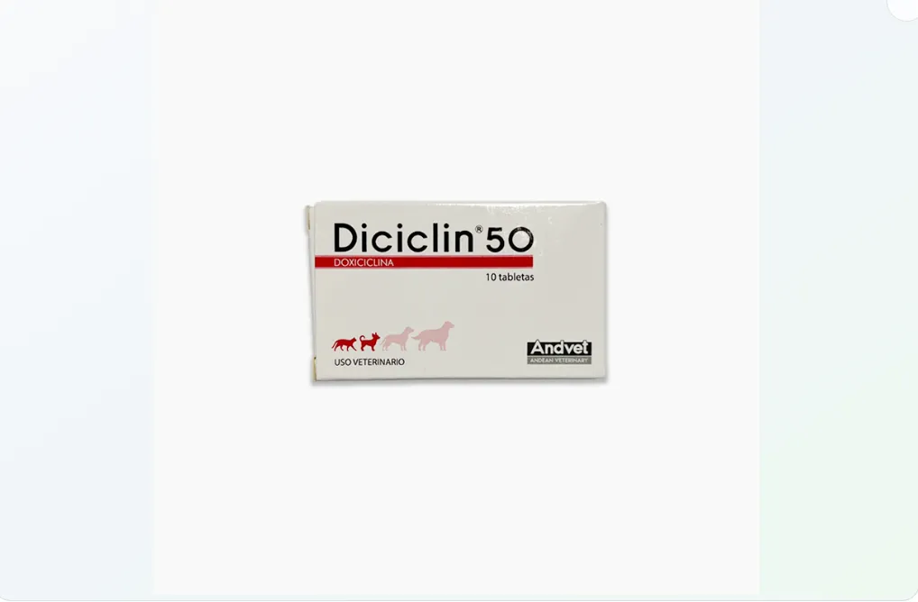 Imagen de DICICLIN 50 MG BLISTER X 10