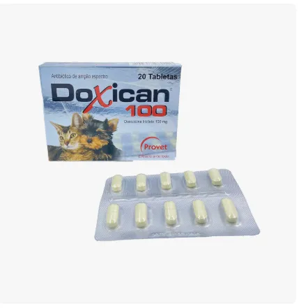 Imagen de Doxican 100 mg blister *10 tab