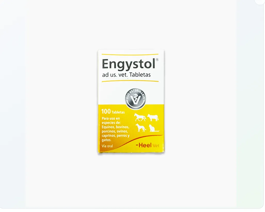 Imagen de ENGYSTOL TABLETAS X 100