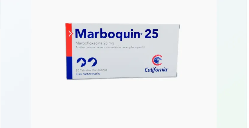 Fotografía del producto: Marboquin 25 mg * 10 tab