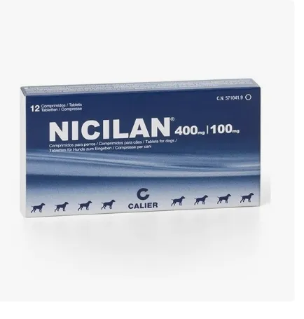 Imagen de Nicilan 400/100 blister *6