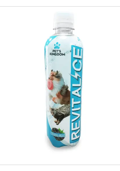 Fotografía del producto: Revitalice Mora-Azul Botella* 500 Ml